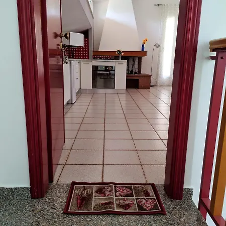 Residenza Gatto Silvestro A 2 Minuti Dal Mare E Dalla Fiera * Rímini